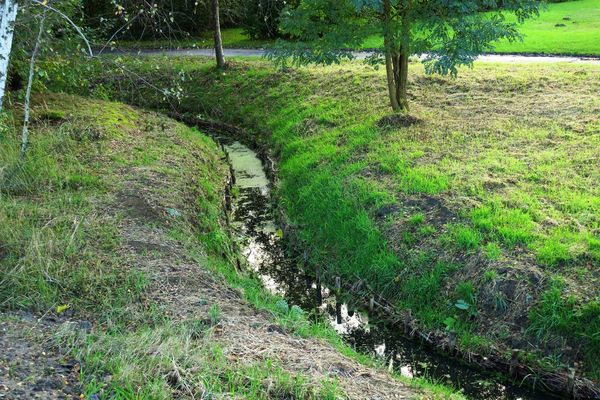 Przebudowa rowu R-D-8 Operat